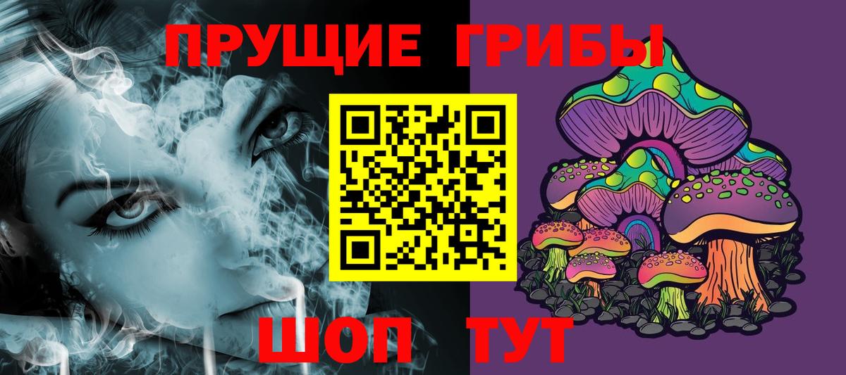 Псилоцибиновые грибы Magic Shrooms Курчалой